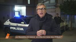 Il giallo della piccola Giulia Loffredo: aggiornamenti sul caso thumbnail