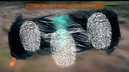 Liliana Resinovich: l'assenza di tracce thumbnail