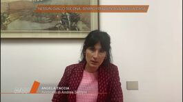 Delitto di Garlasco: parla Angela Taccia, avvocato di Andrea Sempio thumbnail