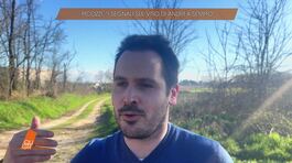 Il delitto di Garlasco: le parole di Picozzi thumbnail