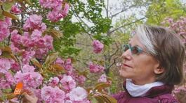 Il giallo di Liliana Resinovich: i coltelli di Sebastiano thumbnail