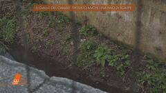 Delitto di Garlasco: nel canale trovate anche un paio di scarpe
