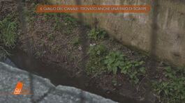 Delitto di Garlasco: nel canale trovate anche un paio di scarpe thumbnail