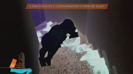 Il giallo di Garlasco: il DNA di Ignoto 3 thumbnail