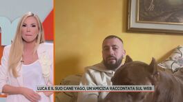 Luca e il suo cane Yago, un'amicizia raccontata sul web thumbnail