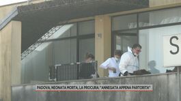 Padova, neonata morta, la Procura: "Annegata appena partorita" thumbnail