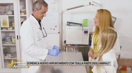 Domenica nuovo appuntamento con "Dalla parte degli animali" thumbnail