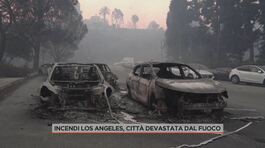 Incendi Los Angeles, città devastata dal fuoco thumbnail