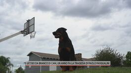 Ucciso da branco di cani, un anno fa la tragedia di Paolo Pasqualini thumbnail