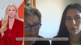 Ucciso da branco di cani, parlano mamma e sorella thumbnail