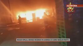 Ultim'ora, incendio a Reggio Emilia thumbnail