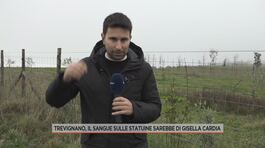 Gisella Cardia, in diretta da Trevignano thumbnail