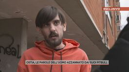 Ostia, le parole dell'uomo azzannato dai suoi pitbull thumbnail