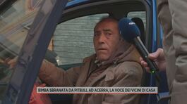 Bimba sbranata da pitbull ad Acerra, la voce dei vicini di casa thumbnail