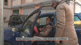 Bimba sbranata da pitbull, la voce dei vicini di casa thumbnail