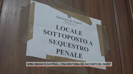 Bimba sbranata da pitbull, cosa non torna nel racconto del padre? thumbnail