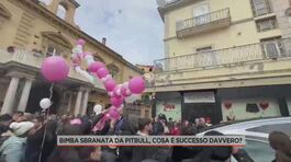 Bimba sbranata da pitbull, giallo sulla casa sotto sequestro ripulita thumbnail