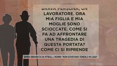 Bimba sbranata dal pitbull, i nonni: "non dovevano tenerlo in casa"