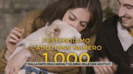 "Dalla parte degli animali" celebra i mille cani adottati thumbnail