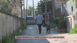 Firenze, neonato di 15 giorni azzannato da cane dei nonni thumbnail