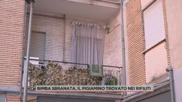 Bimba sbranata, il pigiamino trovato nei rifiuti thumbnail
