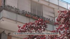 Nel quartiere dove un condominio è vittima della "donna dei piccioni" thumbnail