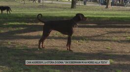 Cani aggressivi, la storia di Sonia: "Un dobermann mi ha morso alla testa" thumbnail