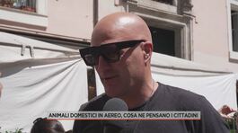Animali domestici in aereo, cosa ne pensano i cittadini thumbnail