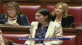 Tra ring e macumbe è scontro in aula thumbnail