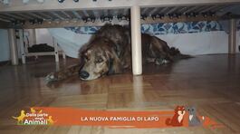 La nuova famiglia di Lapo thumbnail