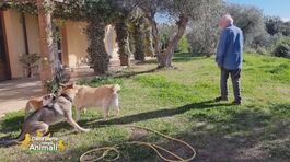 Nana, Lula e Leila, gli amici di Gina Paoli thumbnail