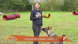 Impariamo divertendoci thumbnail