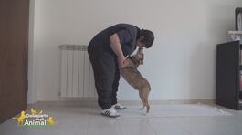La storia di Silvia e Bobbi thumbnail