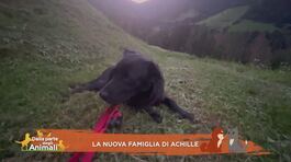 La nuova famiglia di Achille thumbnail