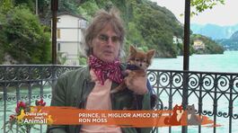 Prince, il miglior amico di: Ron Moss thumbnail