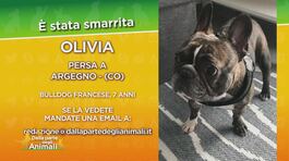 Ritroviamo Olivia thumbnail