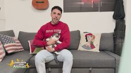 Claudio e Frankie thumbnail