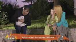 Weiss sta per incontrare la sua nuova famiglia thumbnail