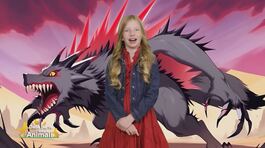 Stella's World thumbnail