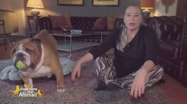 Rocky, Macchia, Bice e Milva, i figli pelosi di: Barbara De Rossi thumbnail