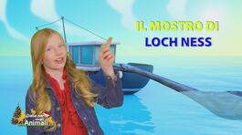 Stella's World: il mostro di Loch Ness thumbnail