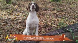 Le unità cinofile per la conservazione della natura thumbnail