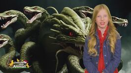 Idra di Lerna thumbnail