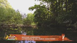 Regione Lombardia: le meraviglie del Parco Adda Nord thumbnail