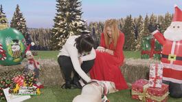 Jasper con la sua nuova mamma thumbnail