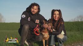 Marley super cane thumbnail
