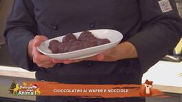 Cioccolatini ai wafer e nocciole thumbnail