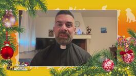 L'incontro con Santa Lucia thumbnail