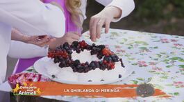 In cucina con Stella thumbnail
