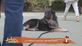 La formazione del proprietario thumbnail